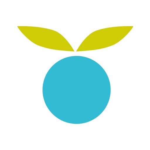Huckleberry logo